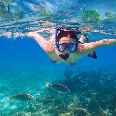 Menorca Paradise Cala En Porter Golden Sands & Sea Cala En Porter (Menorca)